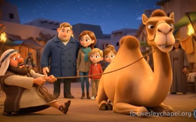 Camels? We Ain’t Got No Camels… or Crew.